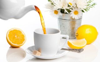 Tea pour lemons daisies flower - a cup of tea free wallpaper