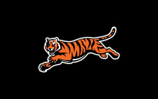 Tiger running black background white - the front of its free wallpaper