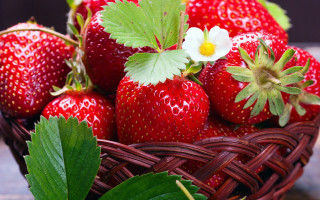 Strawberry basket flower leaf impressionism - a basket of strawberries free wallpaper