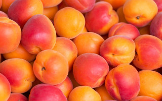 Peach pile white background red - boetius adamsz bolswert free wallpaper