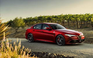 Red alfa coupe vineyard autumn - a road next free wallpaper