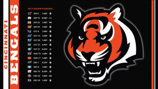 Tiger nfl logo poster team - gritty free wallpaper