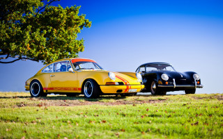 Yellow black car field tree - car free wallpaper