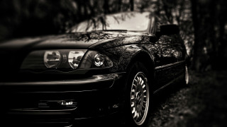 Black car parked tree park - a tree in a park free wallpaper