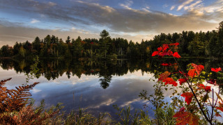 Lake trees flowers cloudy sky - beautiful landscape free wallpaper for desktop
