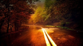 Autumn road trees sunset starry - a yellow line free wallpaper
