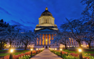 Dome walkway lights autumn trees - christopher wren free wallpaper