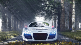 White car forest road night - tree and grass free wallpaper