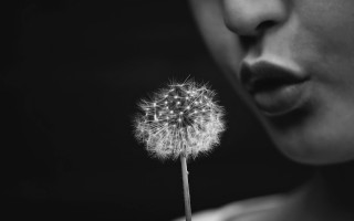 Woman blowing dandelion blackwhite portrait - tongue free wallpaper