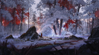 Snowy forest fire person autumn - the distance free wallpaper
