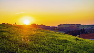 Sunset hill walker houses forest - a few house free wallpaper