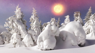 Full moon snowy forest purple - purple free wallpaper