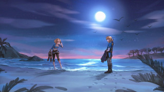 Beach night fullmoon bird people - overhead free wallpaper
