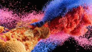 Colorful blower powder nature autumn - a colorful object free wallpaper