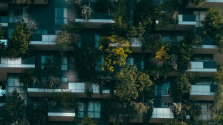 Ecological solarpunk building trees plane - solarpunk free wallpaper