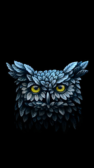 Owl yellow eyes leaves dark - dark background free wallpaper