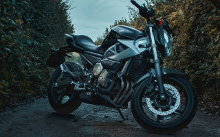 Motorcycle forest road bush tilt - a cloudy day free wallpaper