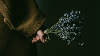 Person holding flowers dark background - a person holding free wallpaper