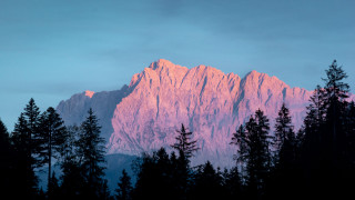 Mountain pink light trees blue - a pink light free wallpaper