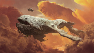 Giant fish clouds bird fantasy - cloud behind free wallpaper