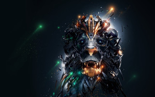 Dog lights facial aurora space - digital free wallpaper for desktop