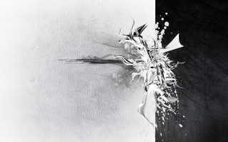 Black white flower wall ink - photo of a flower free wallpaper