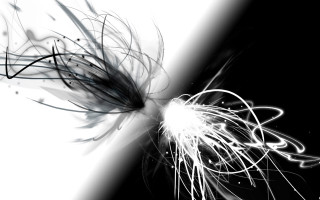 Black white flower long hair - photo of a flower free wallpaper