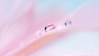 Pink blue water drops macro - soft color free wallpaper