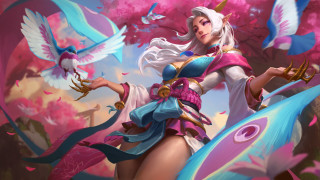 Pink woman bird sword cherryblossoms - art free wallpaper for desktop