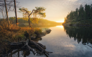 Lake tree stump sunset forest - magic realism free wallpaper for desktop