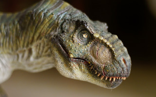 Dinosaur head closeup blurry background - adam rex free wallpaper