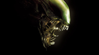Alien green closeup black background - a green alien free wallpaper