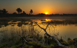 Sunset lake dead tree bushes - a sunset over a lake free wallpaper