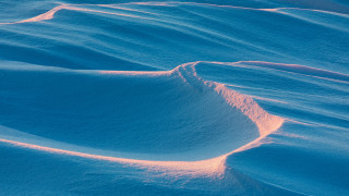 Snow field bird beach ocean - field free wallpaper for desktop