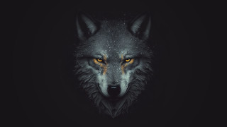 White wolf yellow eyes gothic - the dark background free wallpaper