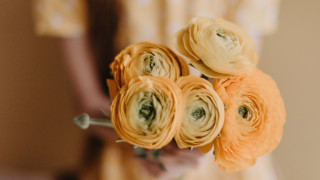 Person bouquet flowers blurry background - a blurry background of the flowers free wallpaper