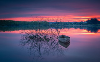 Boat sunset tree water pink - a tree in the foreground free wallpaper