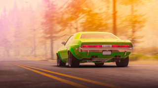 Green car forest road foggy - foto realistic free wallpaper