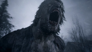 Black animal mountains snowy forest - bloodborne free wallpaper