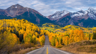 Mountain road autumn leaves fire - yellow leaf free wallpaper