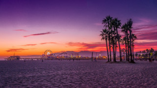 Sunset ferris wheel palm trees - a beach free wallpaper
