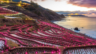 Field flowers hillside ocean night - a pointillism painting free wallpaper