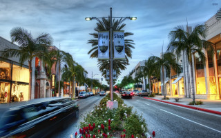 Palm trees key blvd street - elbridge ayer burbank free wallpaper