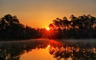 Lake sunset fog trees autumn - a sun free wallpaper