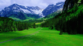 Green field mountain road foreground - a green field free wallpaper