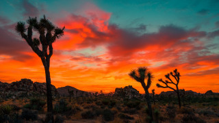 Sunset trees rocks clouds autumn - a matte painting free wallpaper