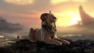 Lion headdress sunset grass bird - a lion free wallpaper