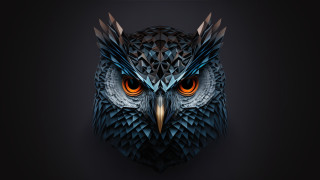 Owl head orange eyes glowing - this image free wallpaper