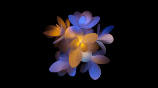Blue flower butterfly lily generative - a black background behind them free wallpaper