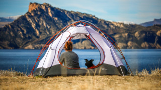 Tent dog mountains lake outdoor - a dog in front free wallpaper